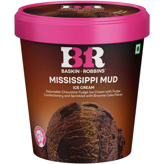 BASKIN ROBBINS MISSISSIPPI MUD ICE CREAM TUB 450ML